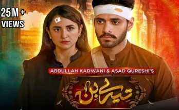 Poster of Tere Bin Pakistani drama featuring lead actors Yumna Zaidi and Wahaj Ali