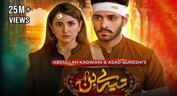 Poster of Tere Bin Pakistani drama featuring lead actors Yumna Zaidi and Wahaj Ali
